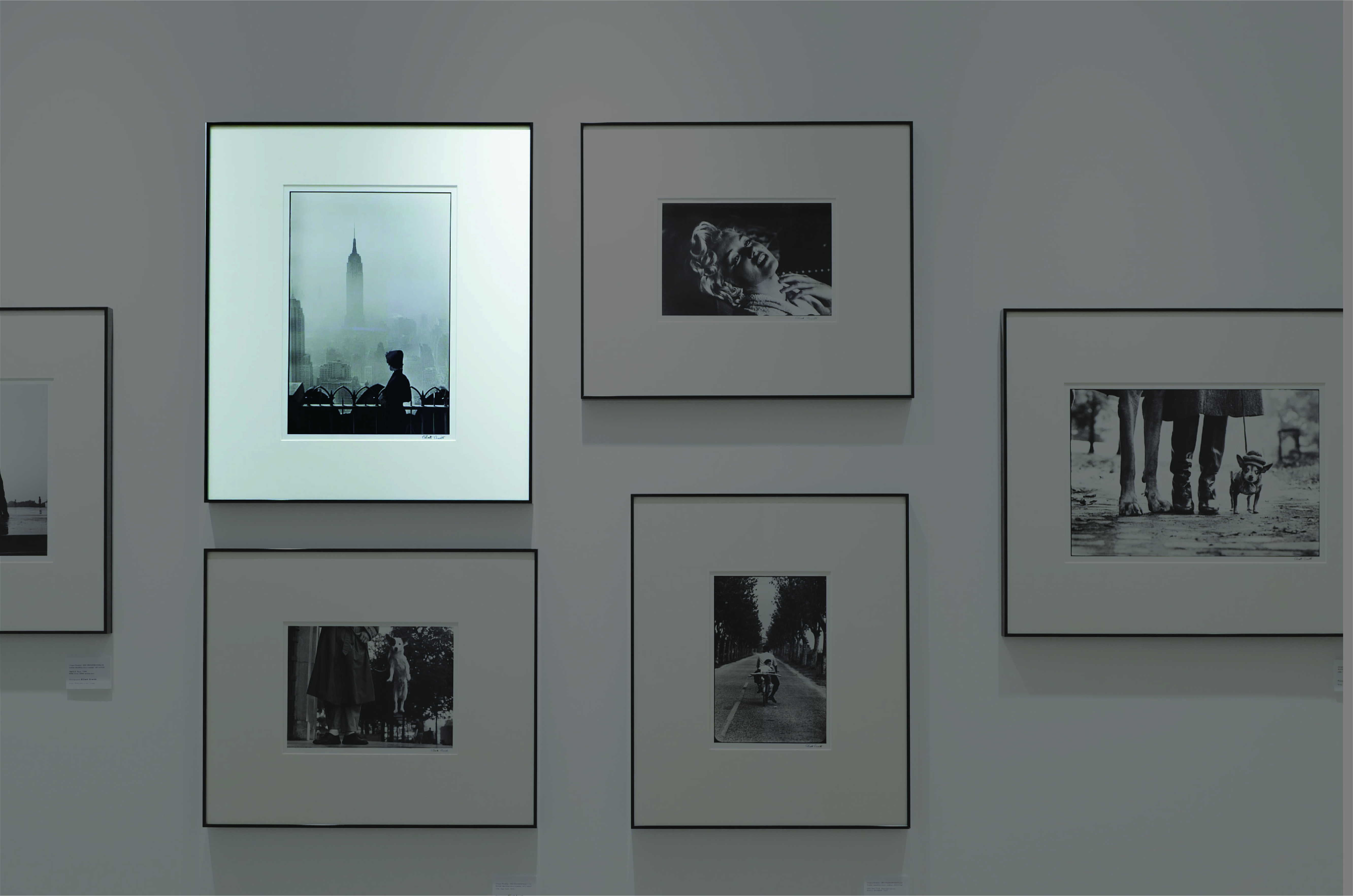 ‘‘Paris, France. 1989.’’by Elliot Erwitt