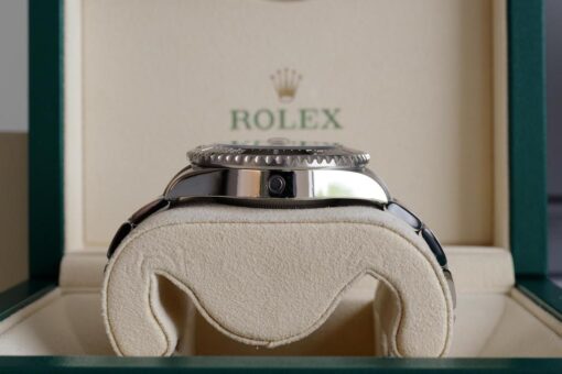 ROLEX SEA-DWELLER Ref.126600 - 画像 (7)